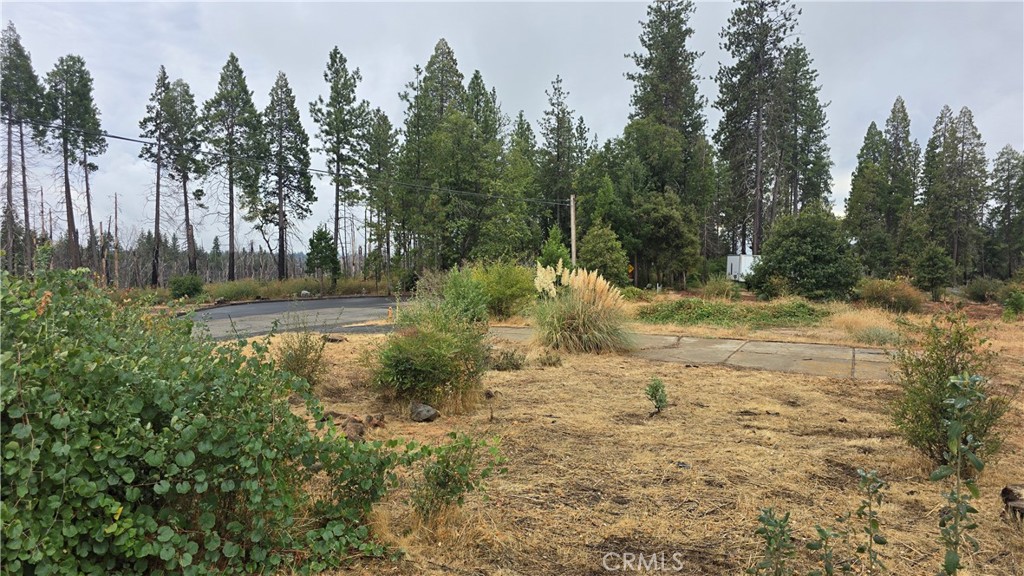 6167 Ponderosa Property Photo 3