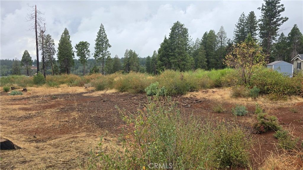 6167 Ponderosa Property Photo 5