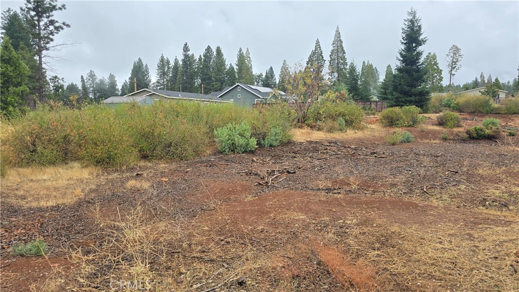 6167 Ponderosa Property Photo 6