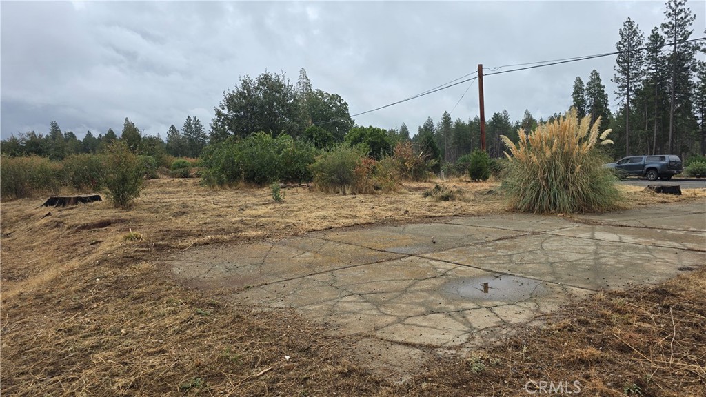 6167 Ponderosa Property Photo 8