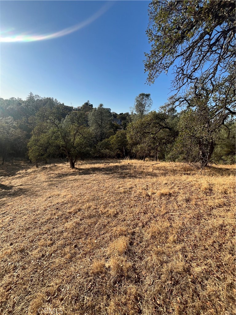 175 Lemon Hill Property Photo 1
