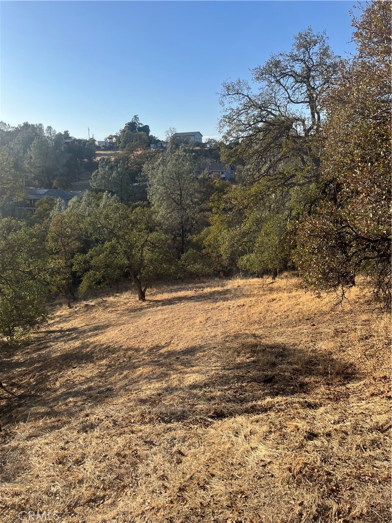 175 Lemon Hill Property Photo 2