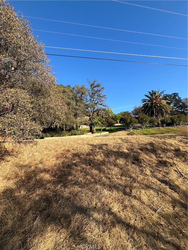 175 Lemon Hill Property Photo 3