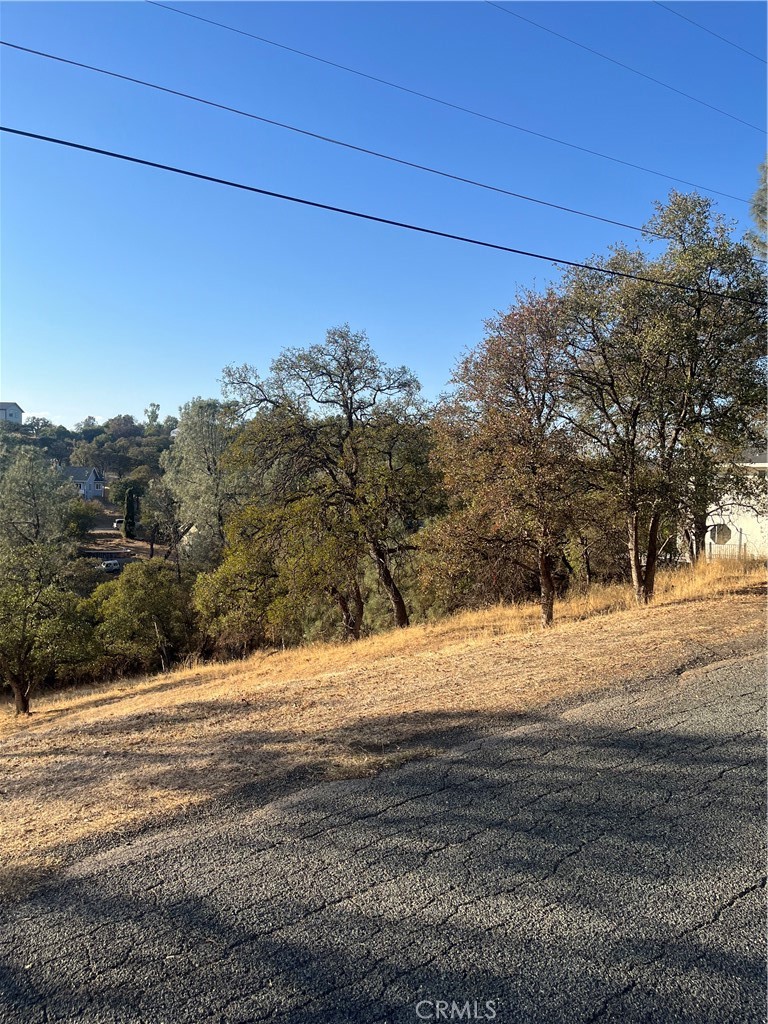 175 Lemon Hill Property Photo 4