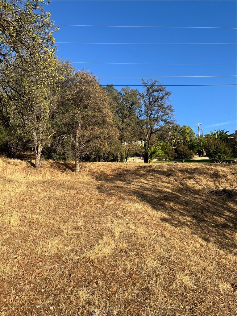 175 Lemon Hill Property Photo 6