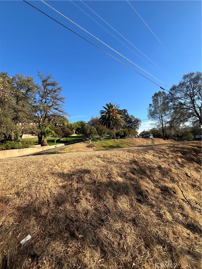 175 Lemon Hill Property Photo 7