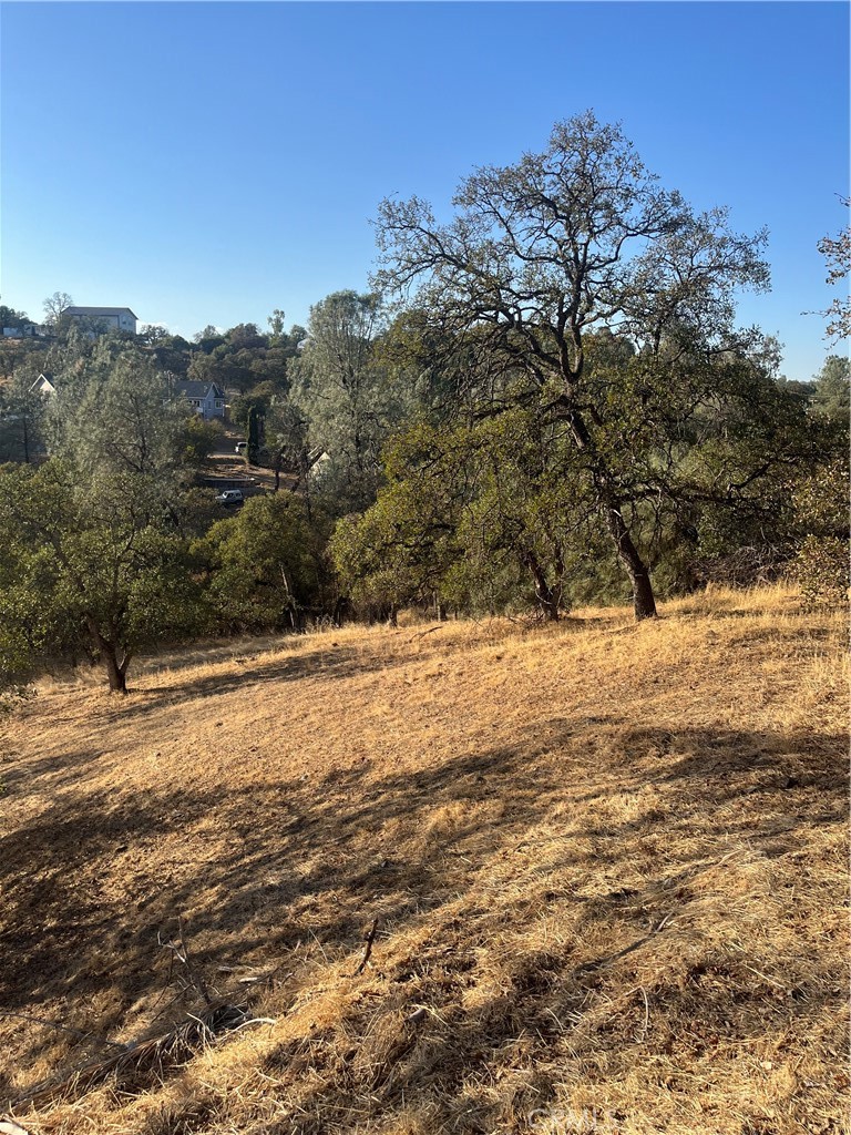175 Lemon Hill Property Photo 10