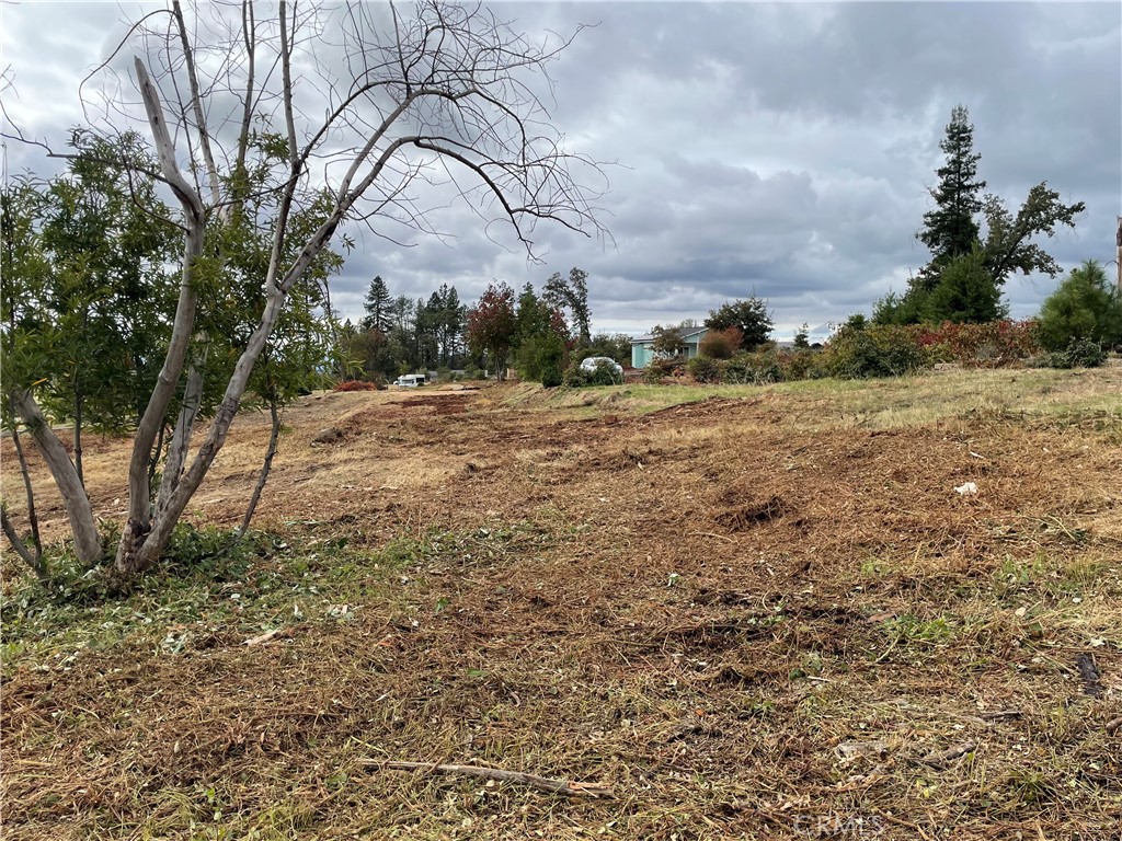 6636 View Acres Drive Property Photo 3