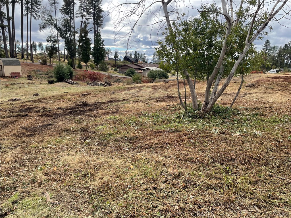 6636 View Acres Drive Property Photo 4