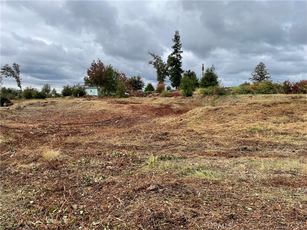 6636 View Acres Drive Property Photo 6