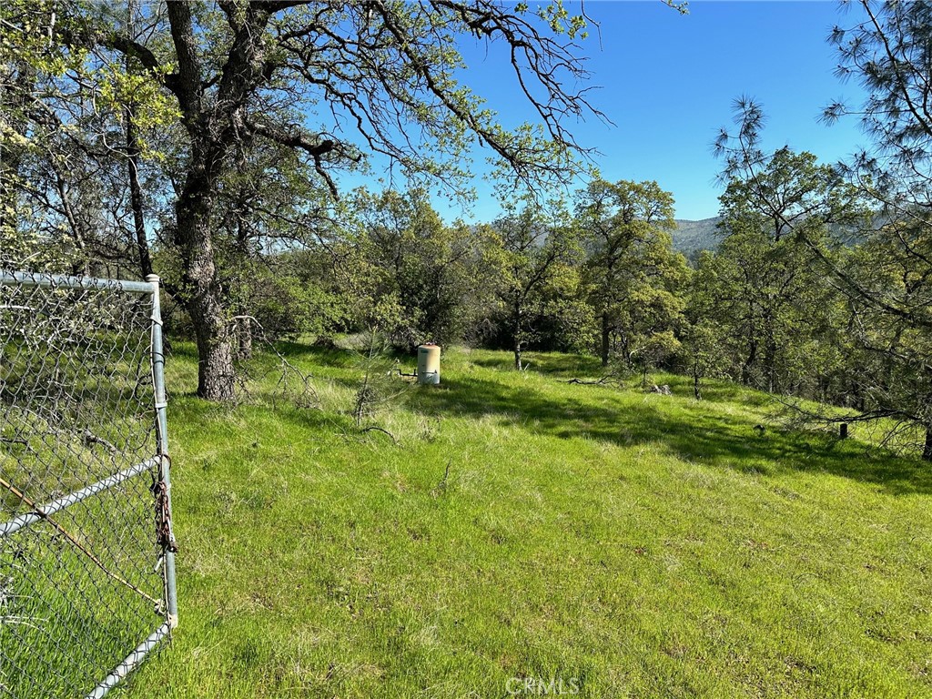 169 Shady Oak Drive Property Photo 4