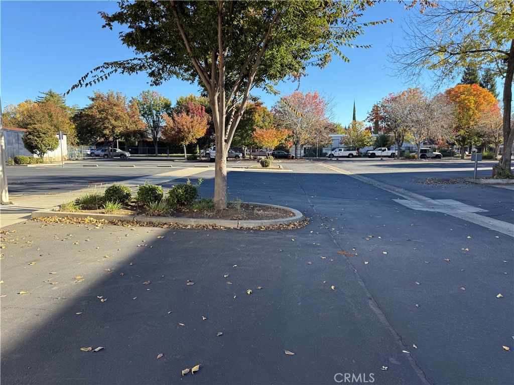 2270 Ivy Property Photo 19
