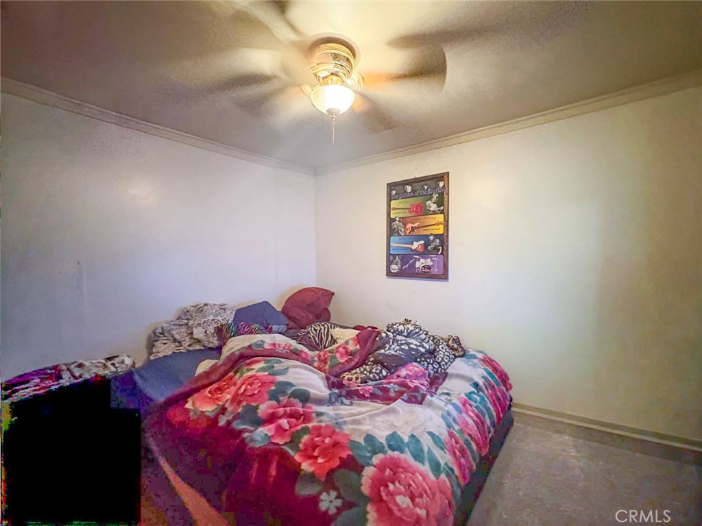 149 Diggles St Property Photo 15