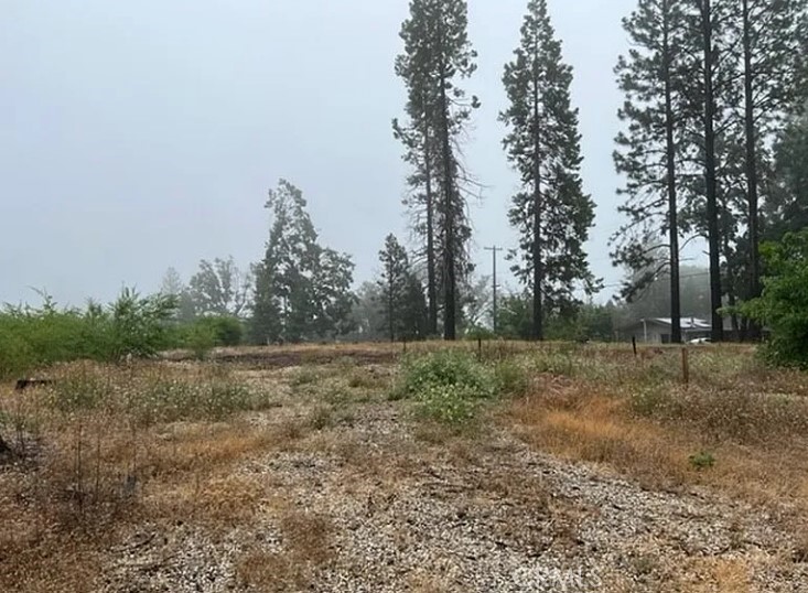 13620 S Park Property Photo 1