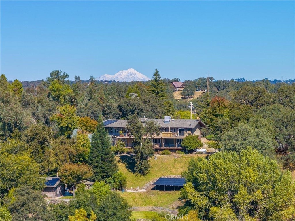14805 Hilltop Drive Property Photo 43