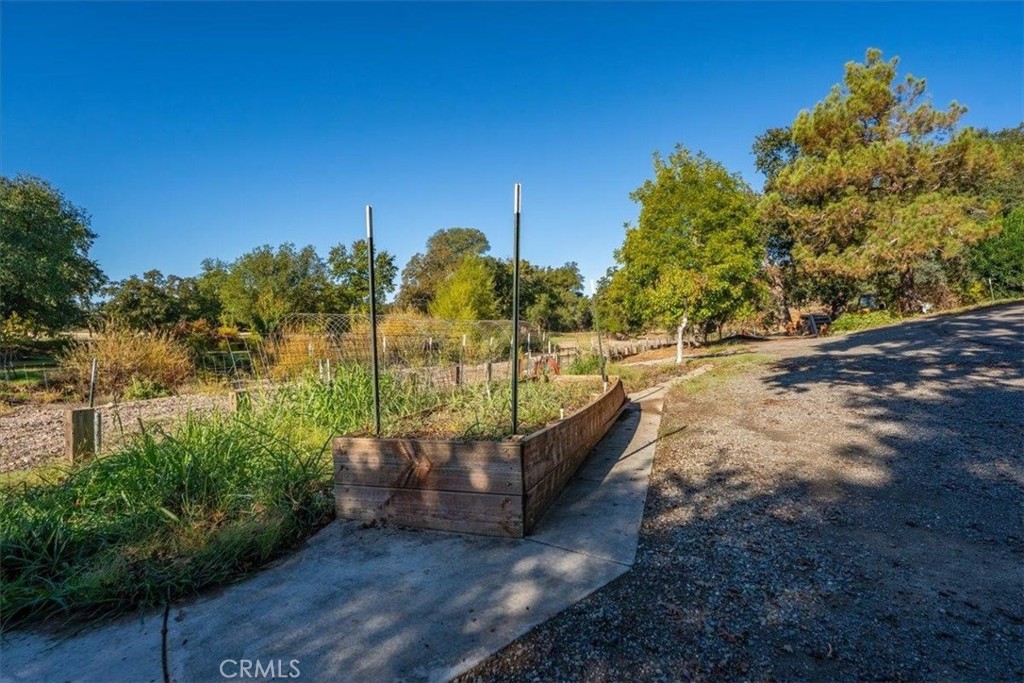 14805 Hilltop Drive Property Photo 52
