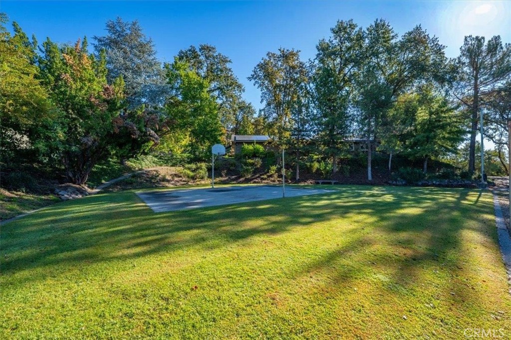 14805 Hilltop Drive Property Photo 53