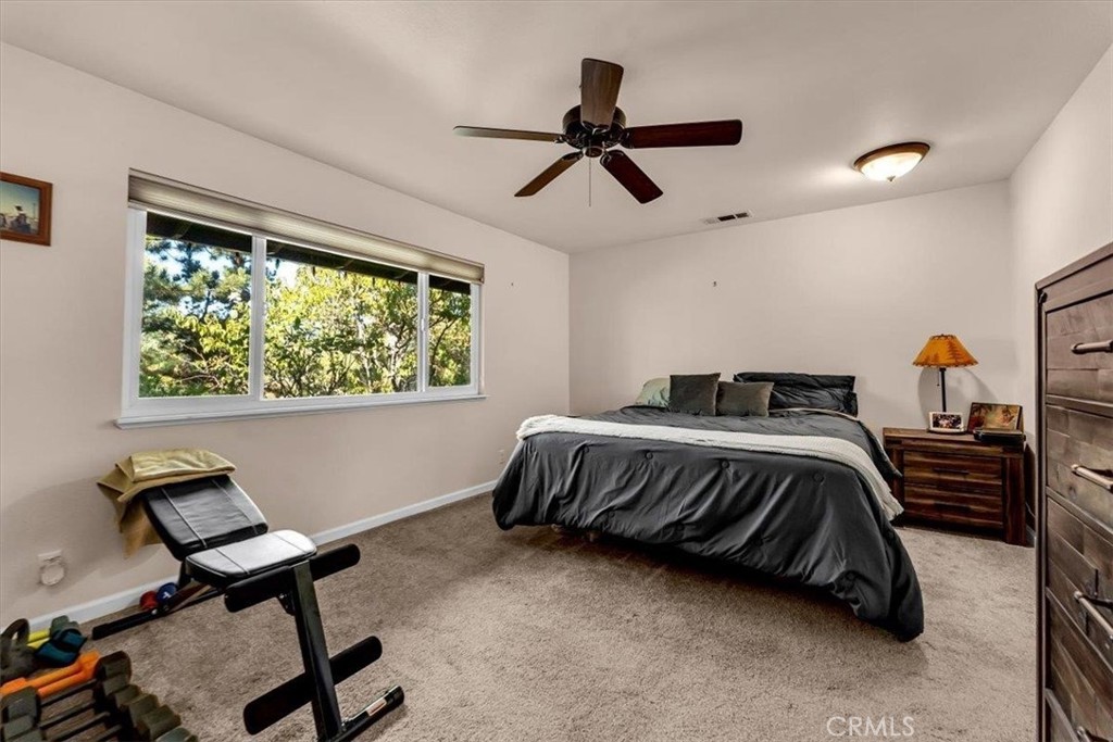 14805 Hilltop Drive Property Photo 62