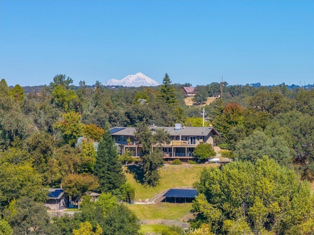14807 Hilltop Drive Property Photo 44