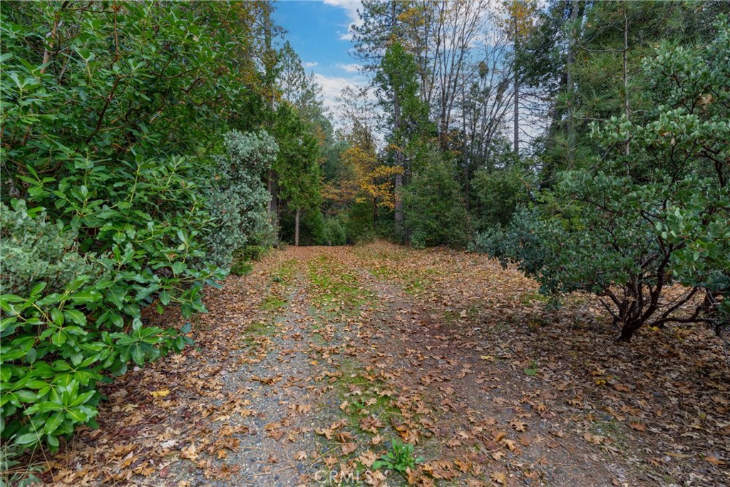 17 Weiss Hill Road Property Photo 29