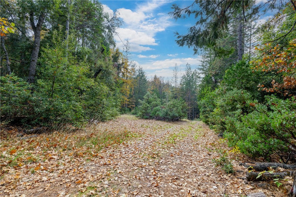 17 Weiss Hill Road Property Photo 31