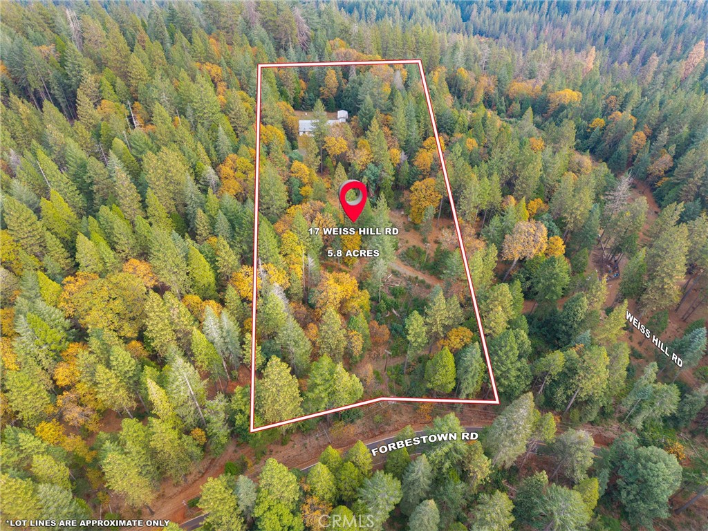 17 Weiss Hill Road Property Photo 33