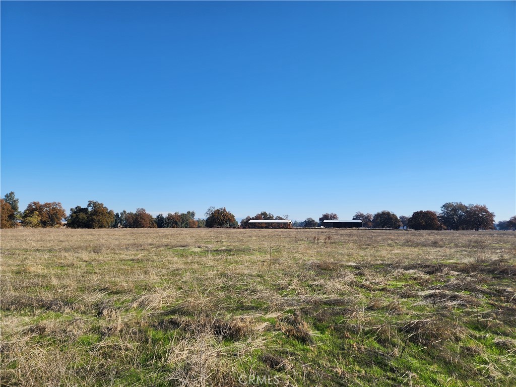 0 Capay Road Property Photo 8