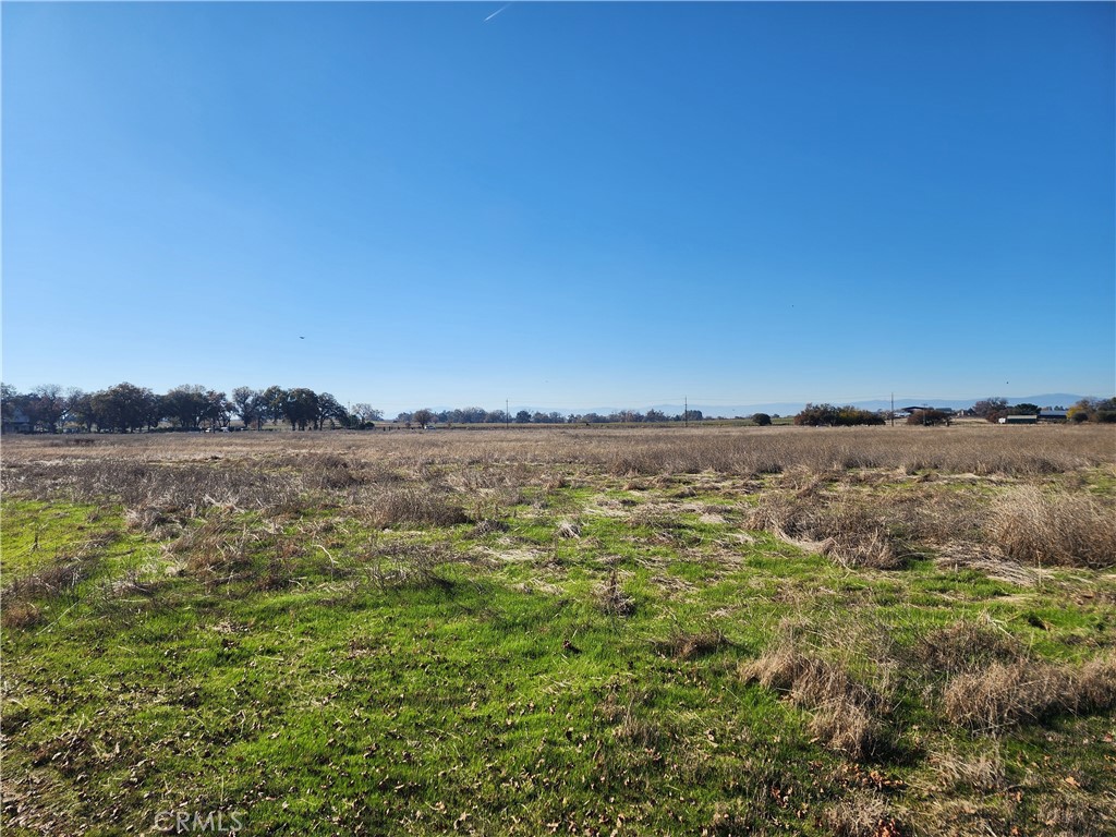 0 Capay Road Property Photo 16