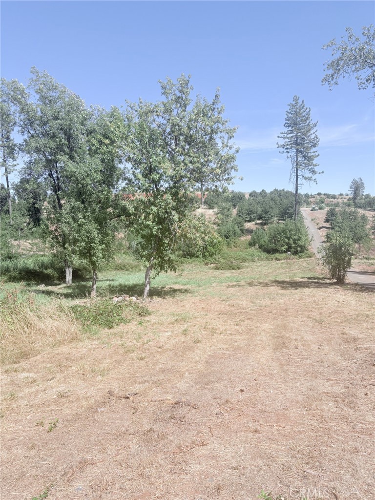1865 Paige Property Photo 1