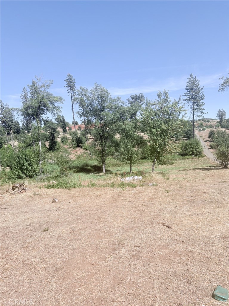 1865 Paige Property Photo 2