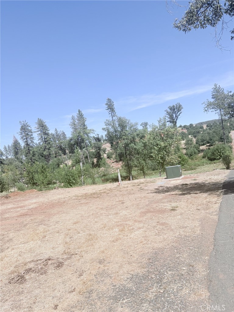 1865 Paige Property Photo 3