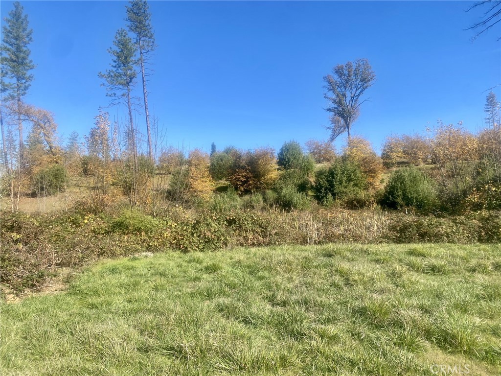 1865 Paige Property Photo 4