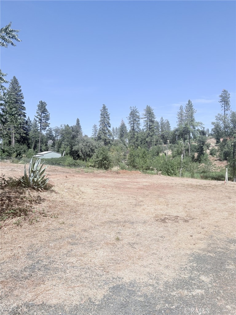 1865 Paige Property Photo 5