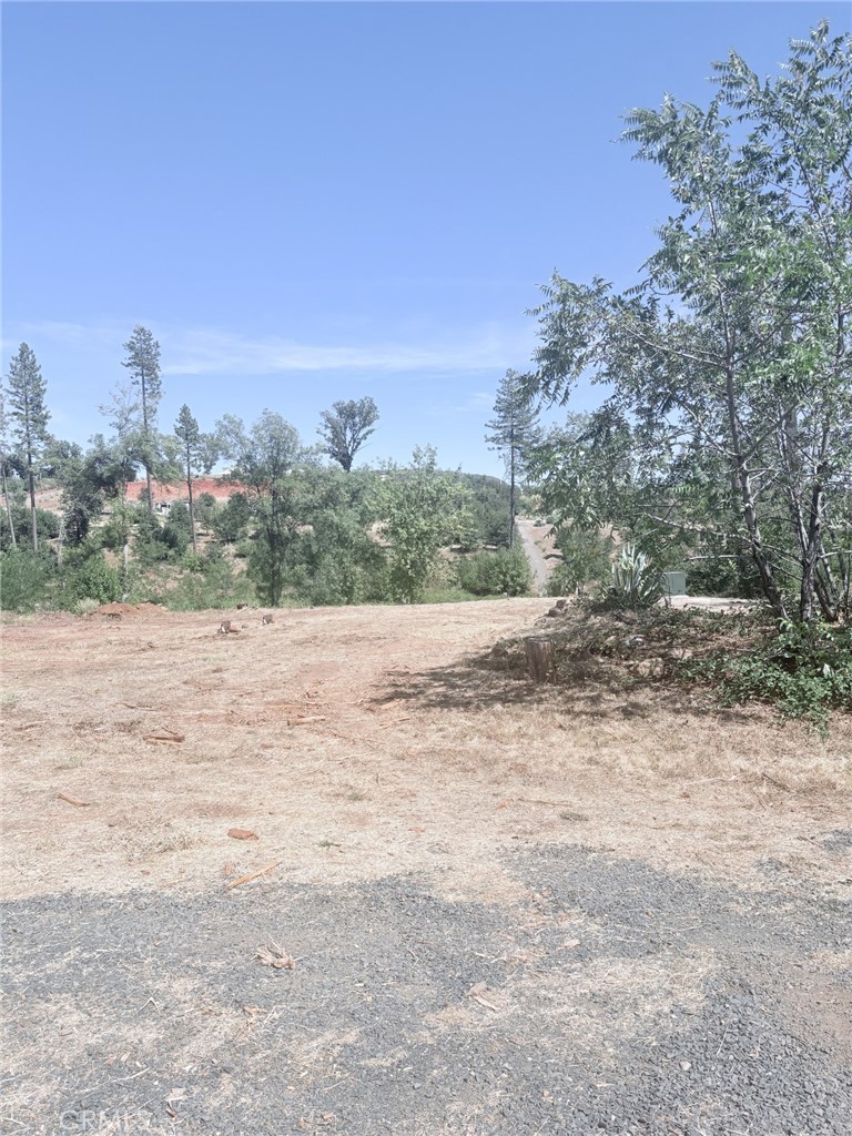 1865 Paige Property Photo 6