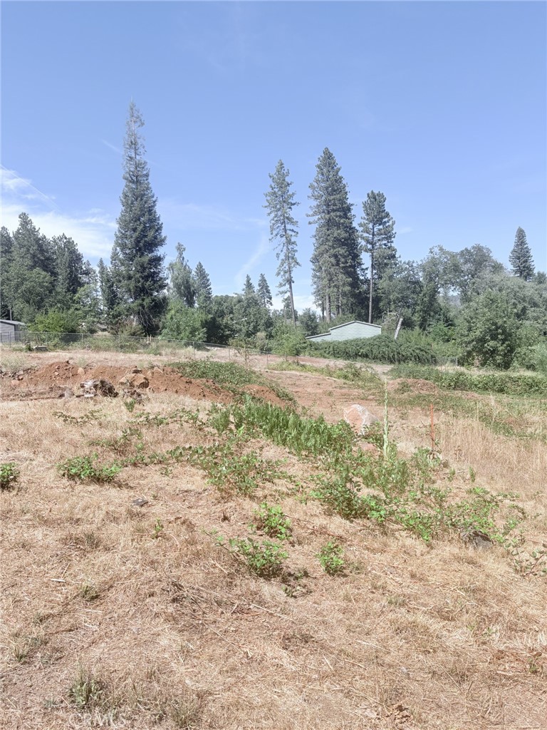 1865 Paige Property Photo 7