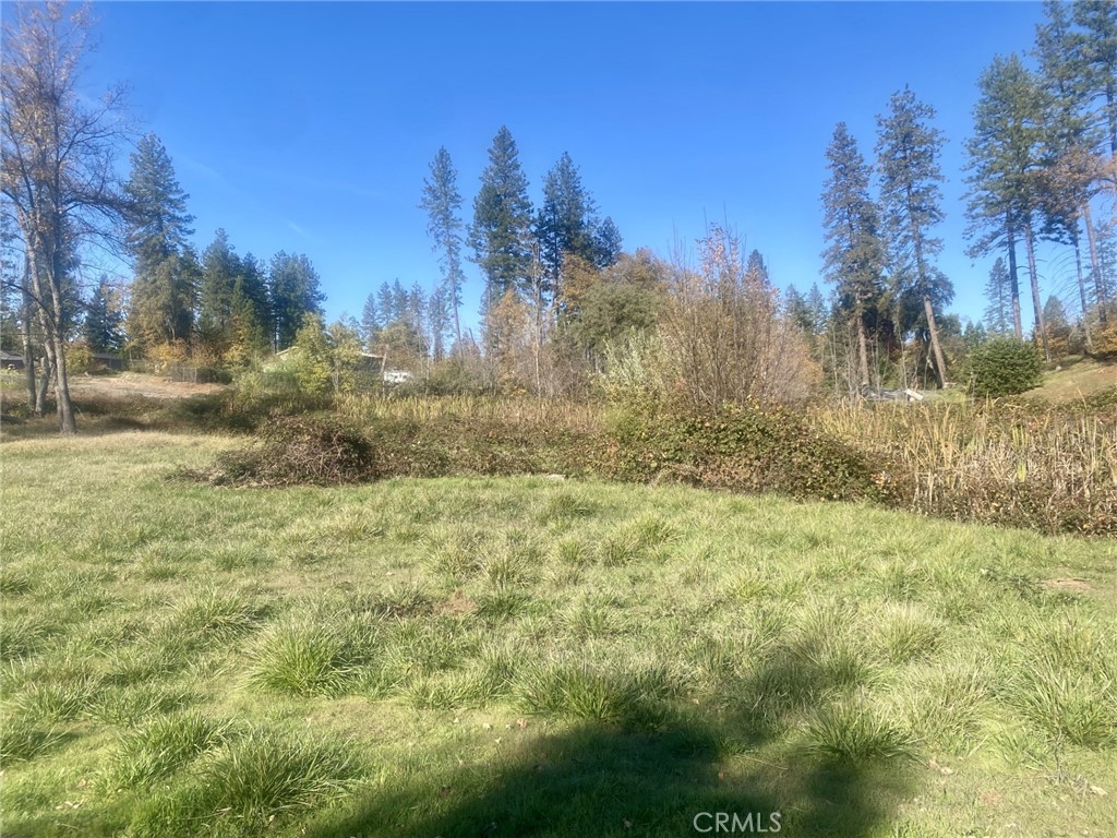 1865 Paige Property Photo 8