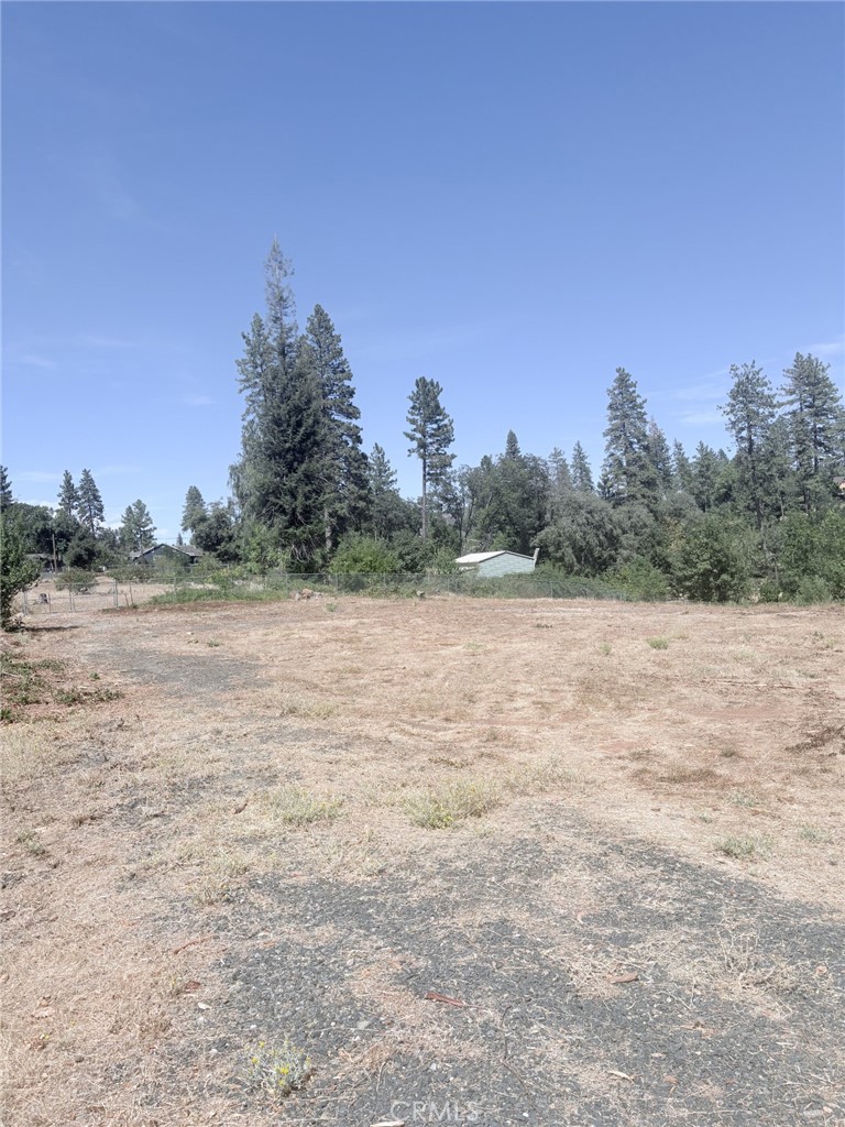 1865 Paige Property Photo 9