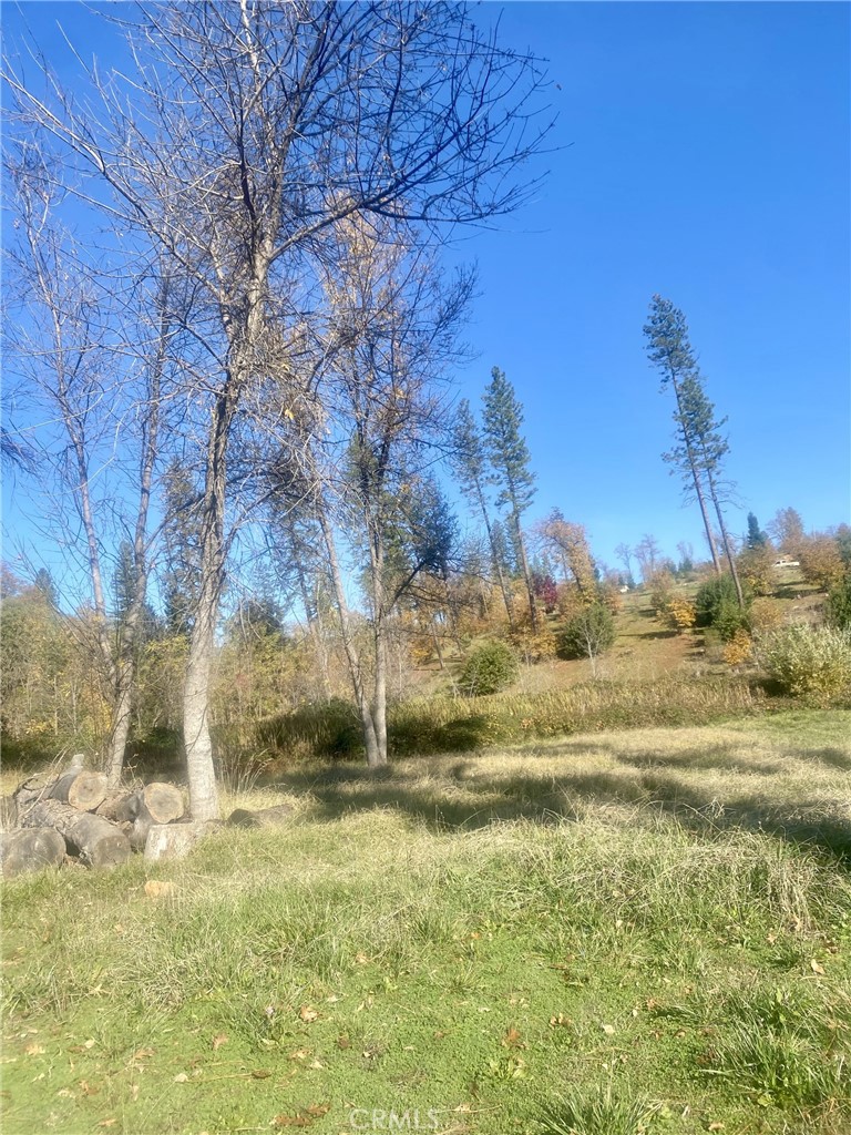 1865 Paige Property Photo 10