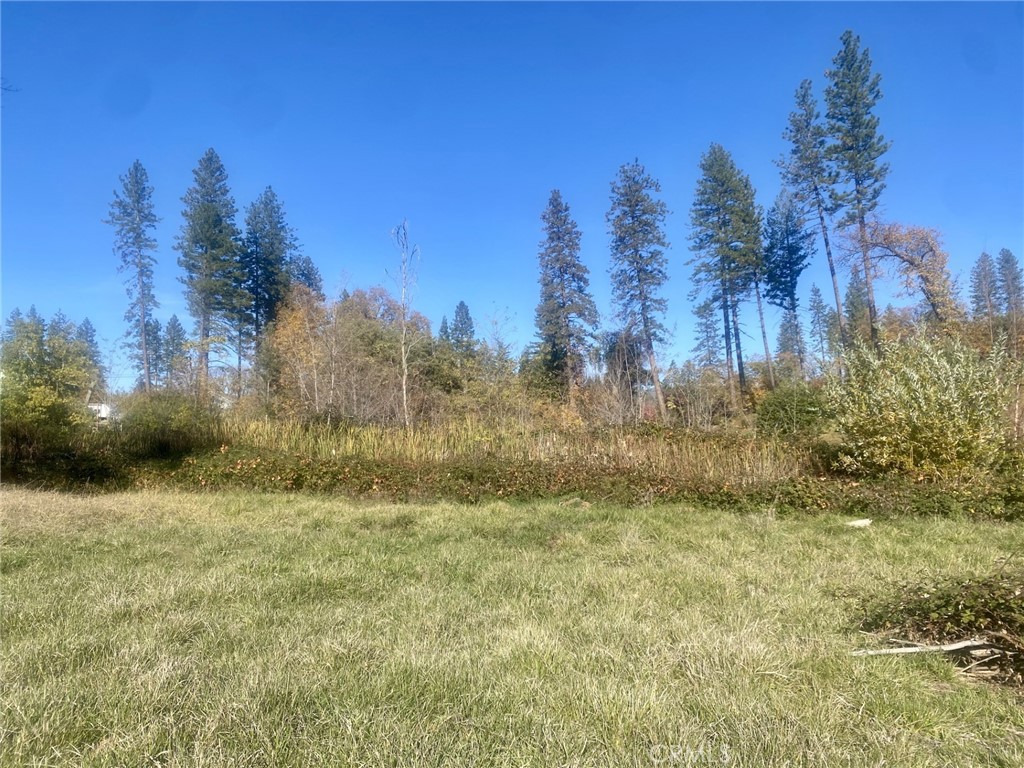 1865 Paige Property Photo 12
