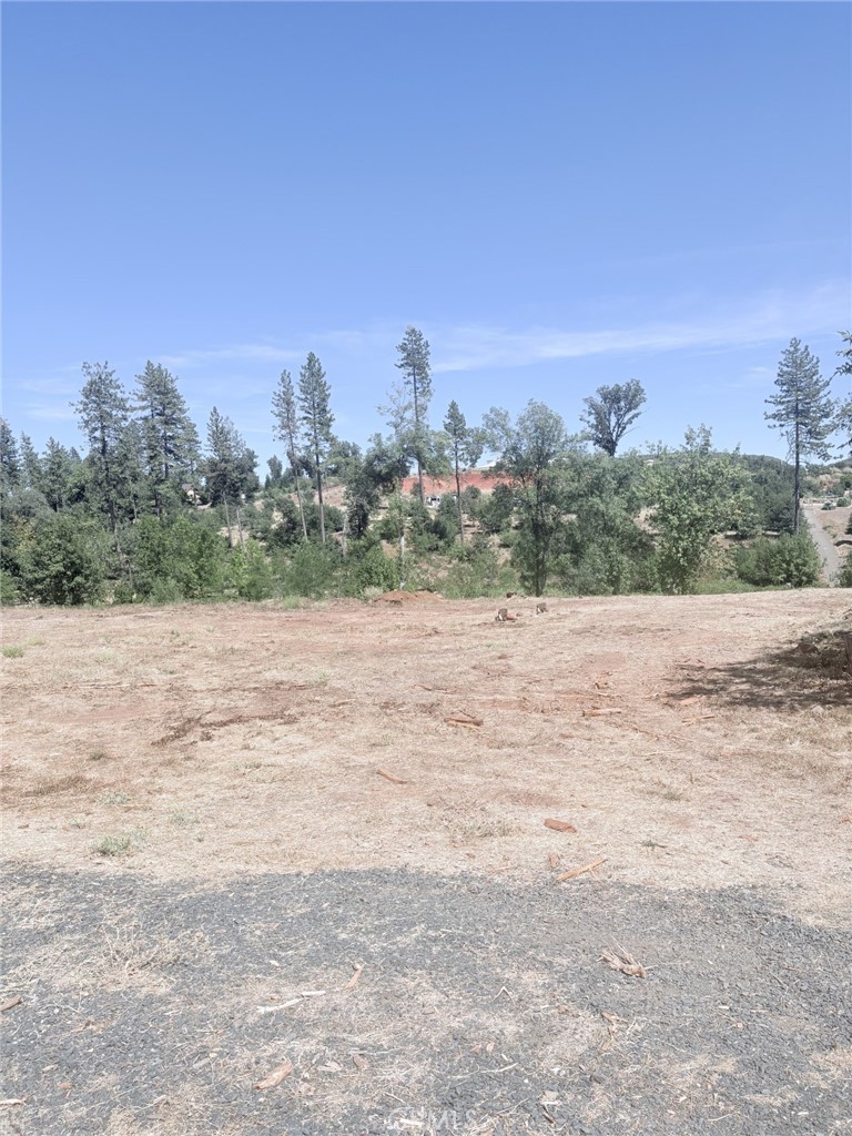 1865 Paige Property Photo 13