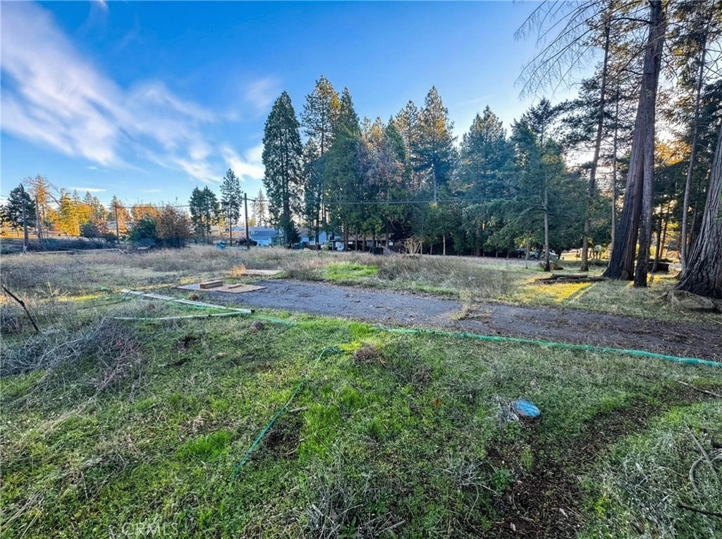 14105 Creston Road Property Photo 4