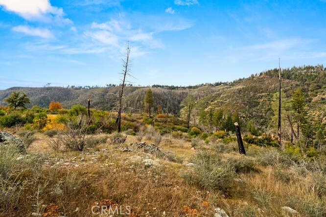 0 Jordan Hill Rd Property Photo 8