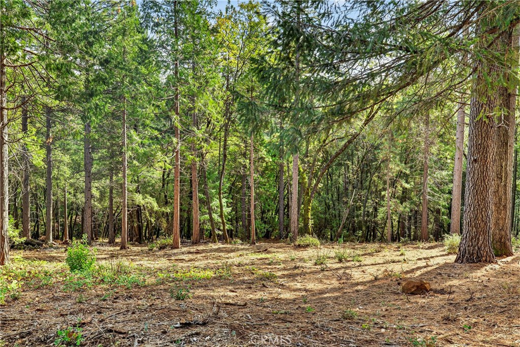 0 Cedar Creek Property Photo 1