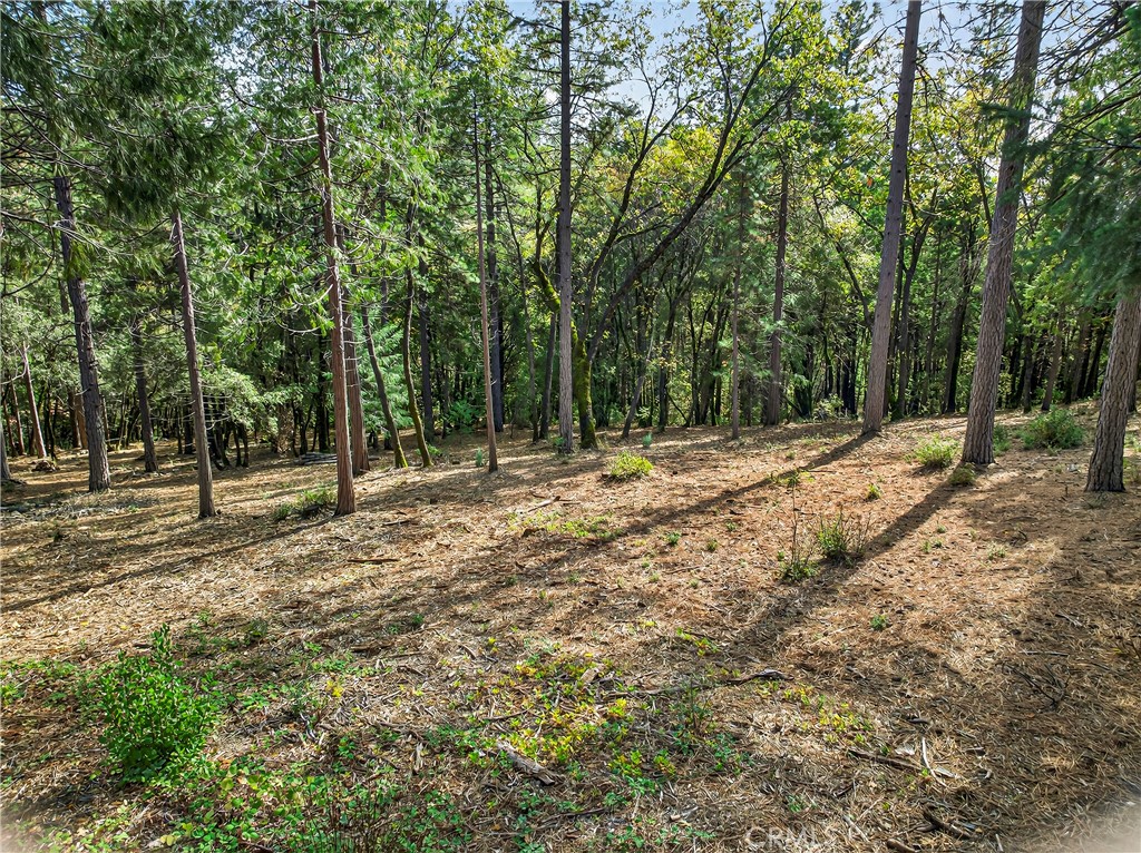 0 Cedar Creek Property Photo 2
