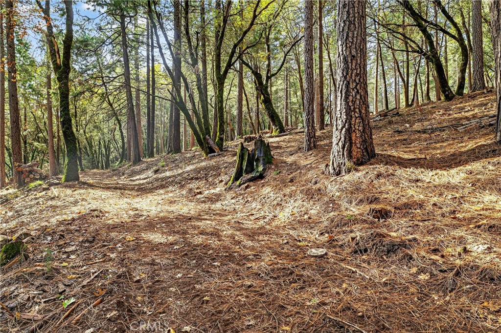 0 Cedar Creek Property Photo 3