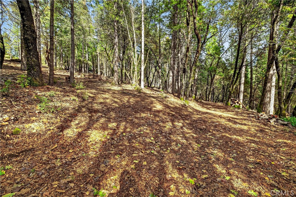 0 Cedar Creek Property Photo 5