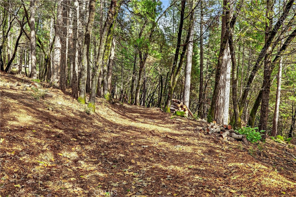 0 Cedar Creek Property Photo 6