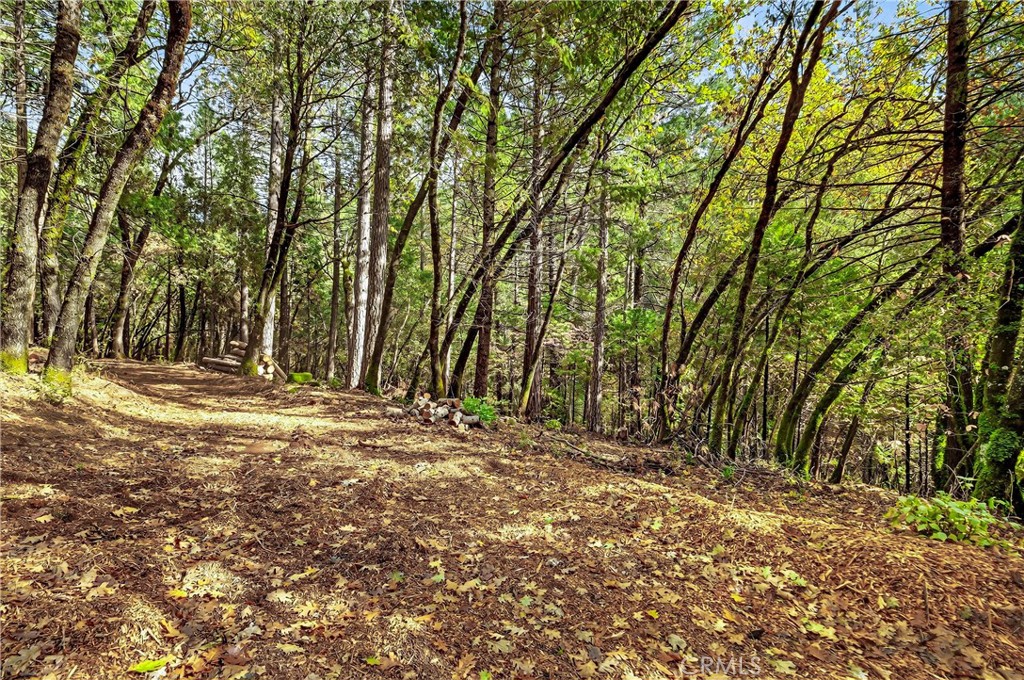 0 Cedar Creek Property Photo 7