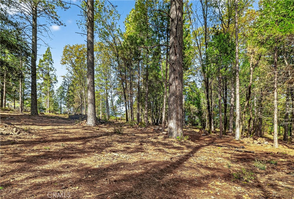 0 Cedar Creek Property Photo 8