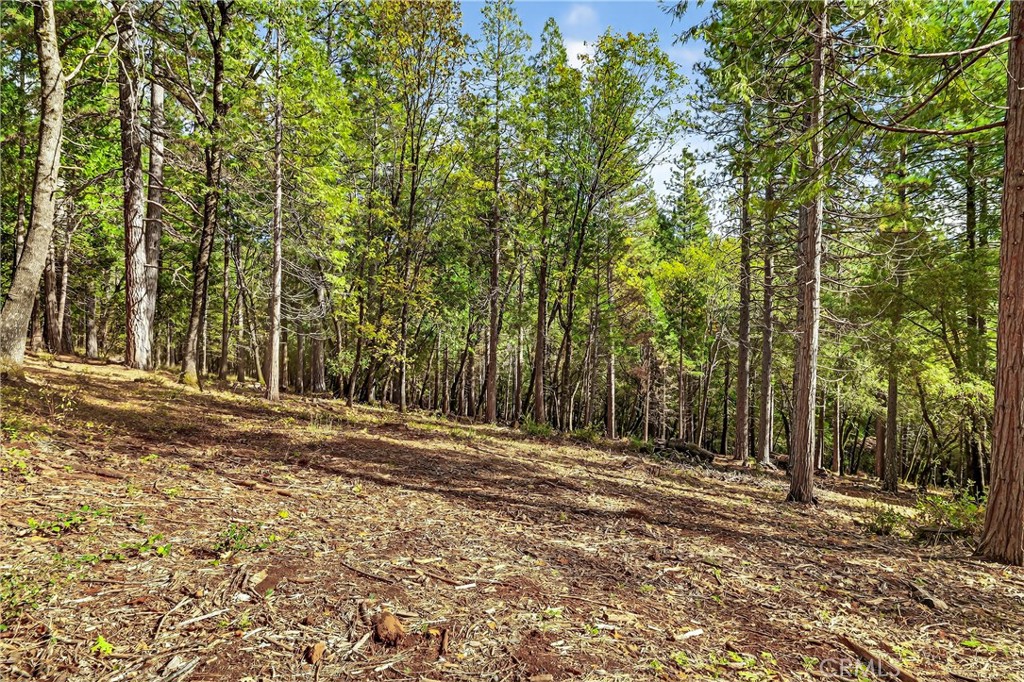 0 Cedar Creek Property Photo 9